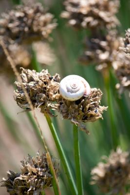 Прикрепленное изображение: IMG_0530.jpg